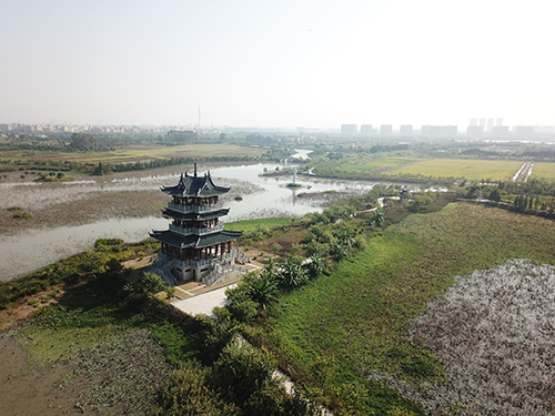 麻涌.马滘河绿道景观工程