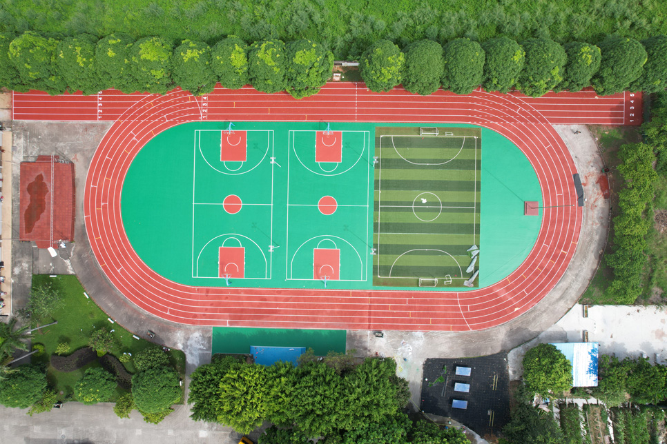 望牛墩镇新联小学